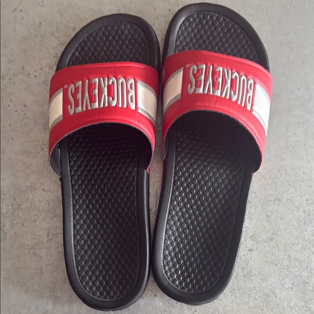 THE Ohio State Buckeyes Slides